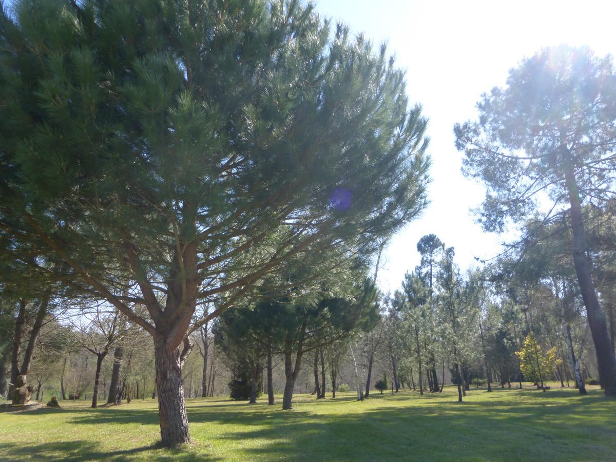 Gite Les Pins Perdus Saint-Ciers-d'Abzac エクステリア 写真
